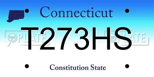 T273HS Connecticut License Plate