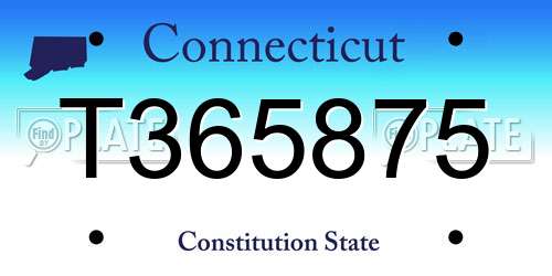 T365875 Connecticut License Plate