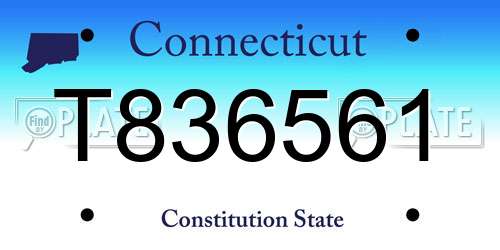 T836561 Connecticut License Plate