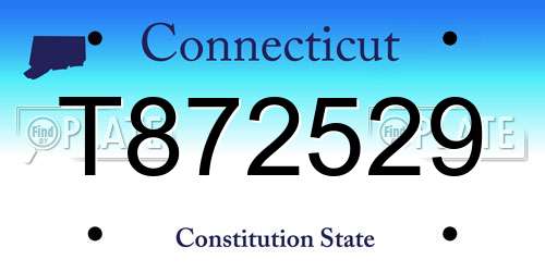 T872529 Connecticut License Plate