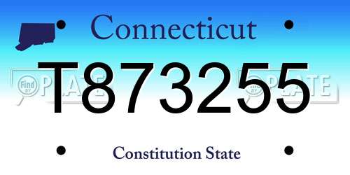T873255 Connecticut License Plate