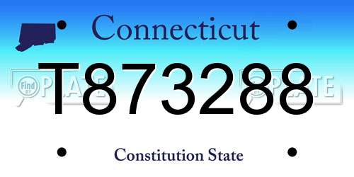 T873288 Connecticut License Plate