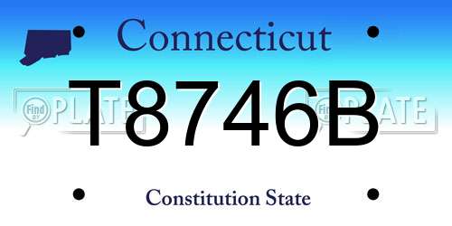 T8746B Connecticut License Plate