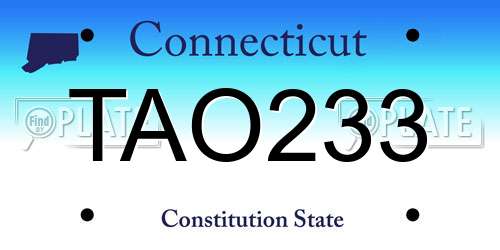 TAO233 Connecticut License Plate