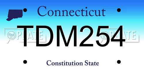 TDM254 Connecticut License Plate