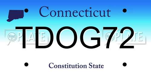 TDOG72 Connecticut License Plate