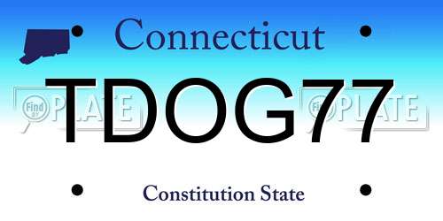TDOG77 Connecticut License Plate