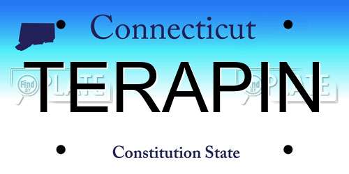 TERAPIN Connecticut License Plate