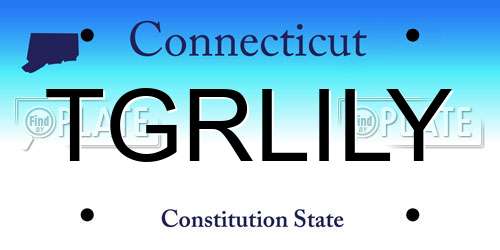 TGRLILY Connecticut License Plate