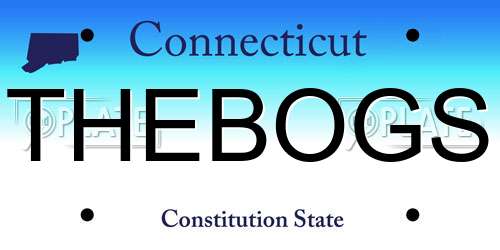 THEBOGS Connecticut License Plate