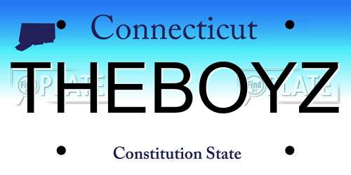 THEBOYZ Connecticut License Plate