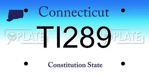 TI289 Connecticut License Plate