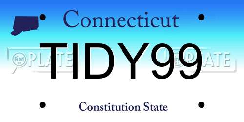 TIDY99 Connecticut License Plate