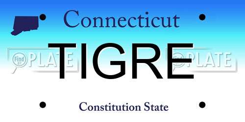 TIGRE Connecticut License Plate