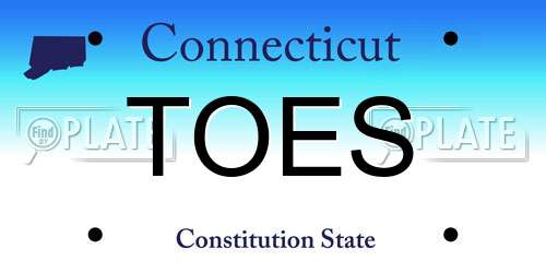 TOES Connecticut License Plate
