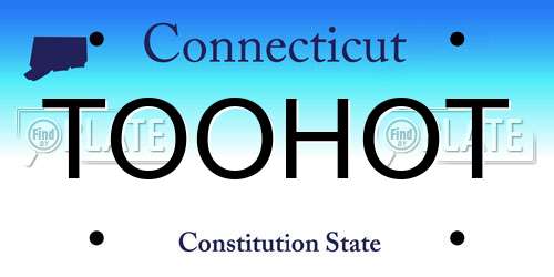 TOOHOT Connecticut License Plate