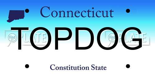 TOPDOG Connecticut License Plate