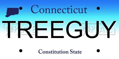 TREEGUY Connecticut License Plate