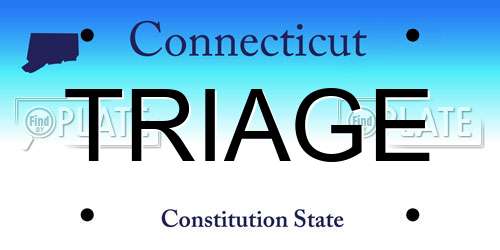 TRIAGE Connecticut License Plate