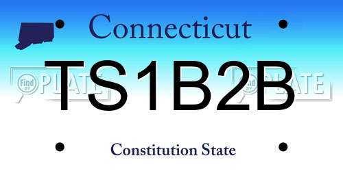 TS1B2B Connecticut License Plate