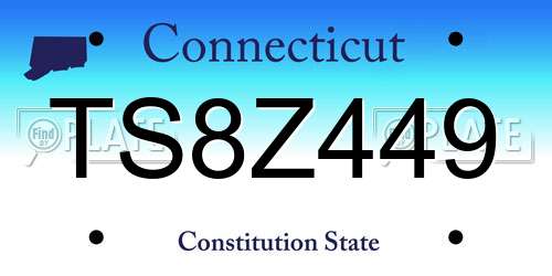TS8Z449 Connecticut License Plate