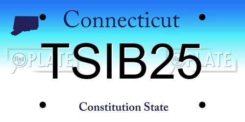 TSIB25 Connecticut License Plate