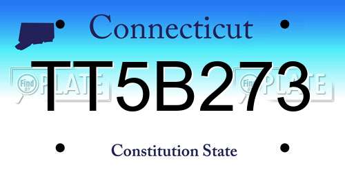 TT5B273 Connecticut License Plate