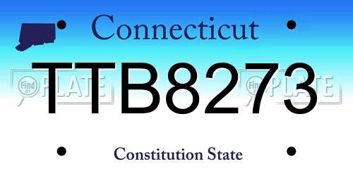 TTB8273 Connecticut License Plate