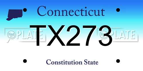 TX273 Connecticut License Plate