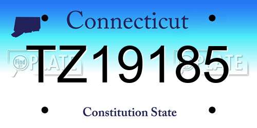TZ19185 Connecticut License Plate