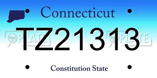 TZ21313 Connecticut License Plate