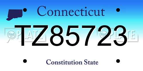 TZ85723 Connecticut License Plate