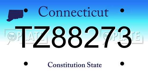 TZ88273 Connecticut License Plate