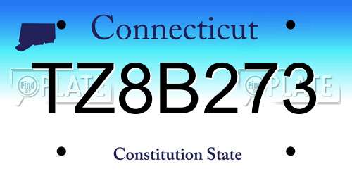 TZ8B273 Connecticut License Plate