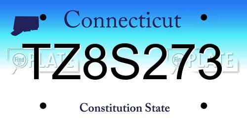 TZ8S273 Connecticut License Plate