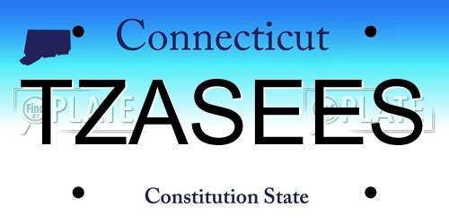 TZASEES Connecticut License Plate
