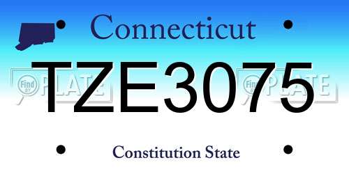 TZE3075 Connecticut License Plate