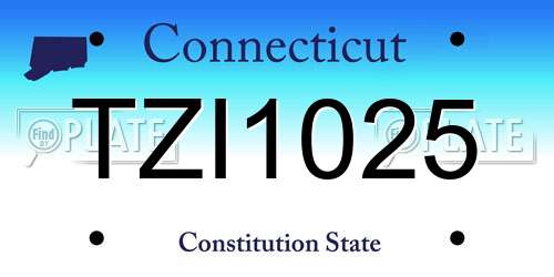 TZI1025 Connecticut License Plate