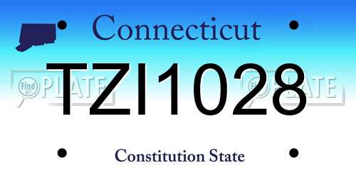 TZI1028 Connecticut License Plate