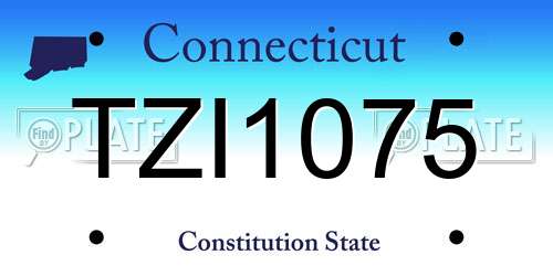 TZI1075 Connecticut License Plate