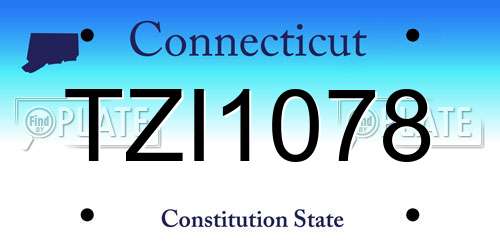 TZI1078 Connecticut License Plate