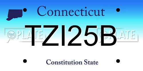 TZI25B Connecticut License Plate