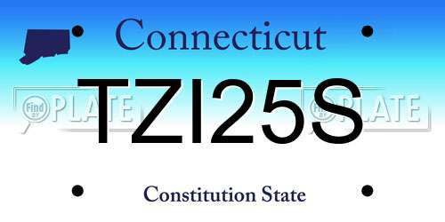TZI25S Connecticut License Plate
