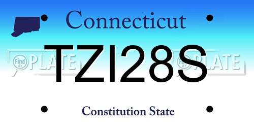 TZI28S Connecticut License Plate