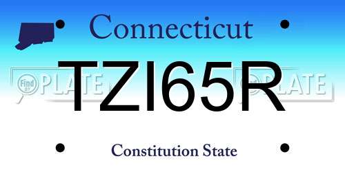 TZI65R Connecticut License Plate