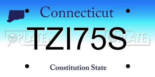TZI75S Connecticut License Plate