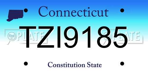 TZI9185 Connecticut License Plate