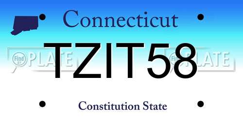 TZIT58 Connecticut License Plate