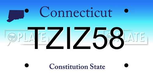 TZIZ58 Connecticut License Plate