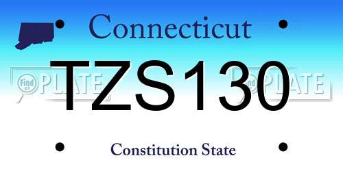 TZS130 Connecticut License Plate